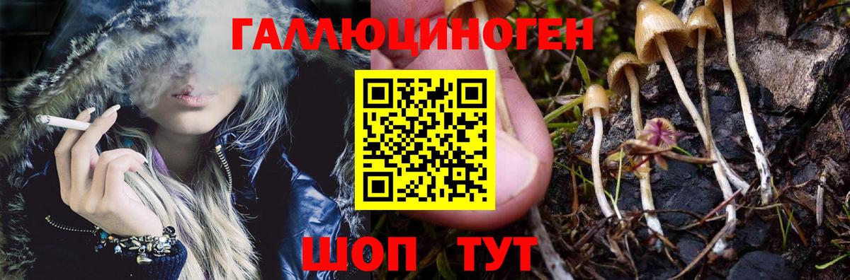 Псилоцибиновые грибы мухоморы Наро-Фоминск