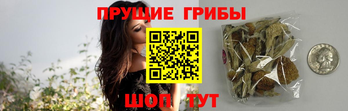 купить   Псилоцибиновые грибы Magic Shrooms  Вход с VPN  Наро-Фоминск 
